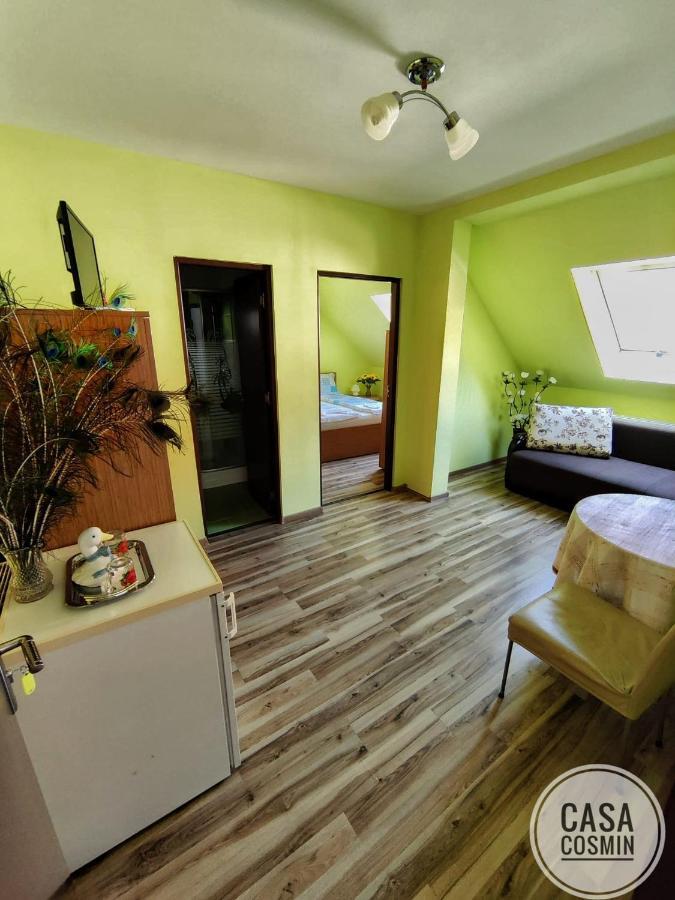 Casa Cosmin Cincu Otel Dış mekan fotoğraf
